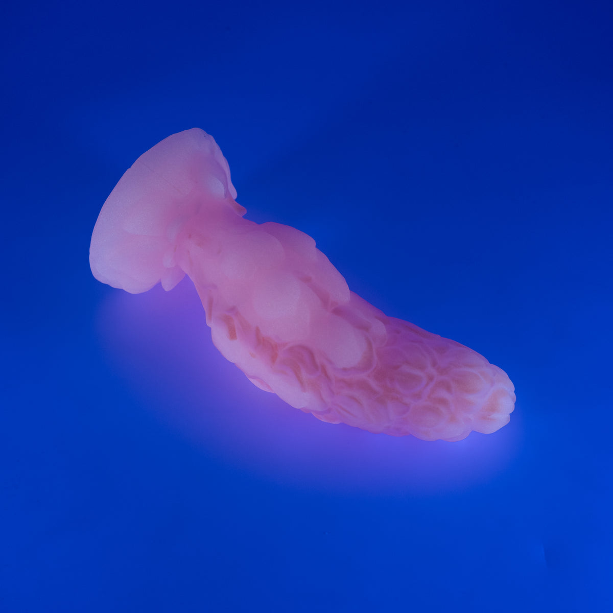 B2XJP73 Flora Small 0020 UV GITD CS