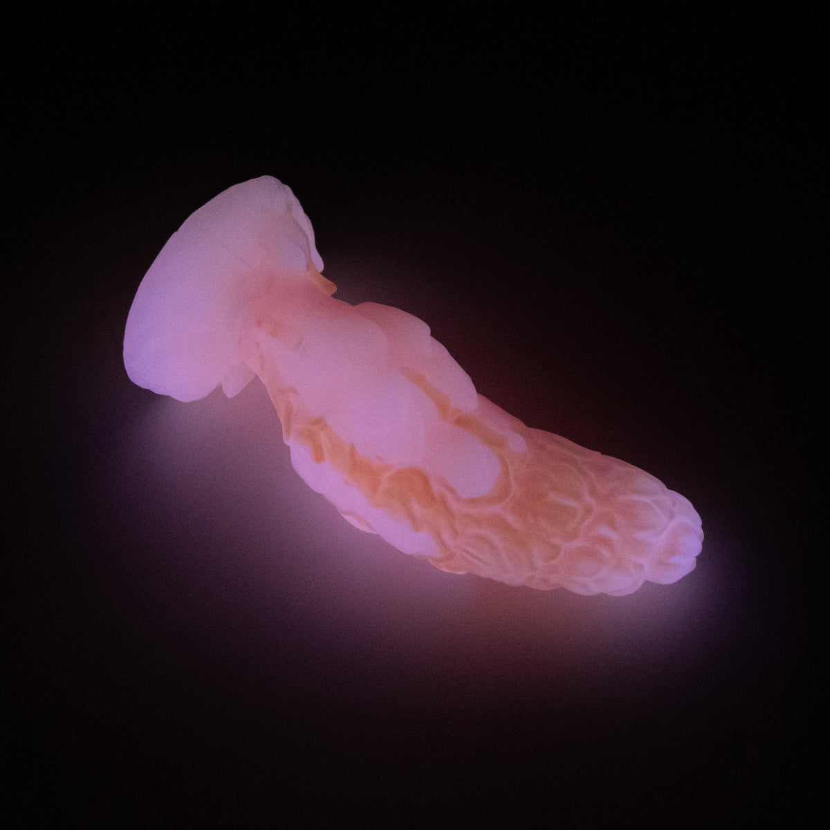 B2XJP73 Flora Small 0020 UV GITD CS