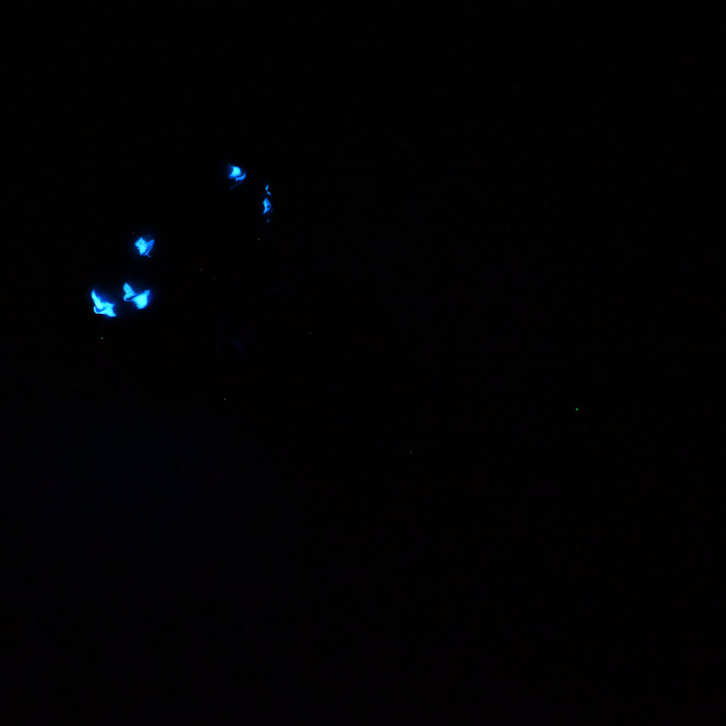 H3SKR32 Hellion Medium 0030 UV GITD CS