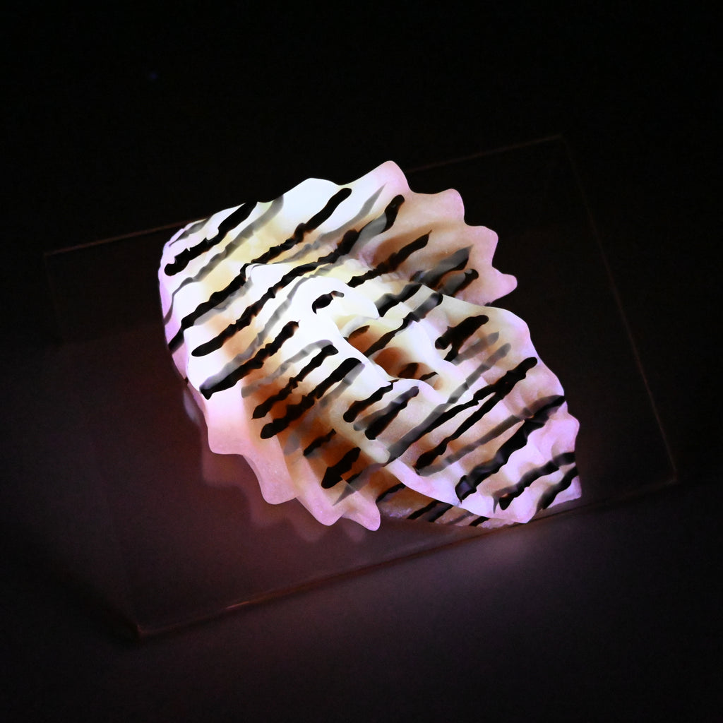 C2SJR53 Calypso Small 0030 UV GITD