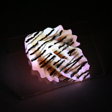 Load image into Gallery viewer, C2SJR53 Calypso Small 0030 UV GITD
