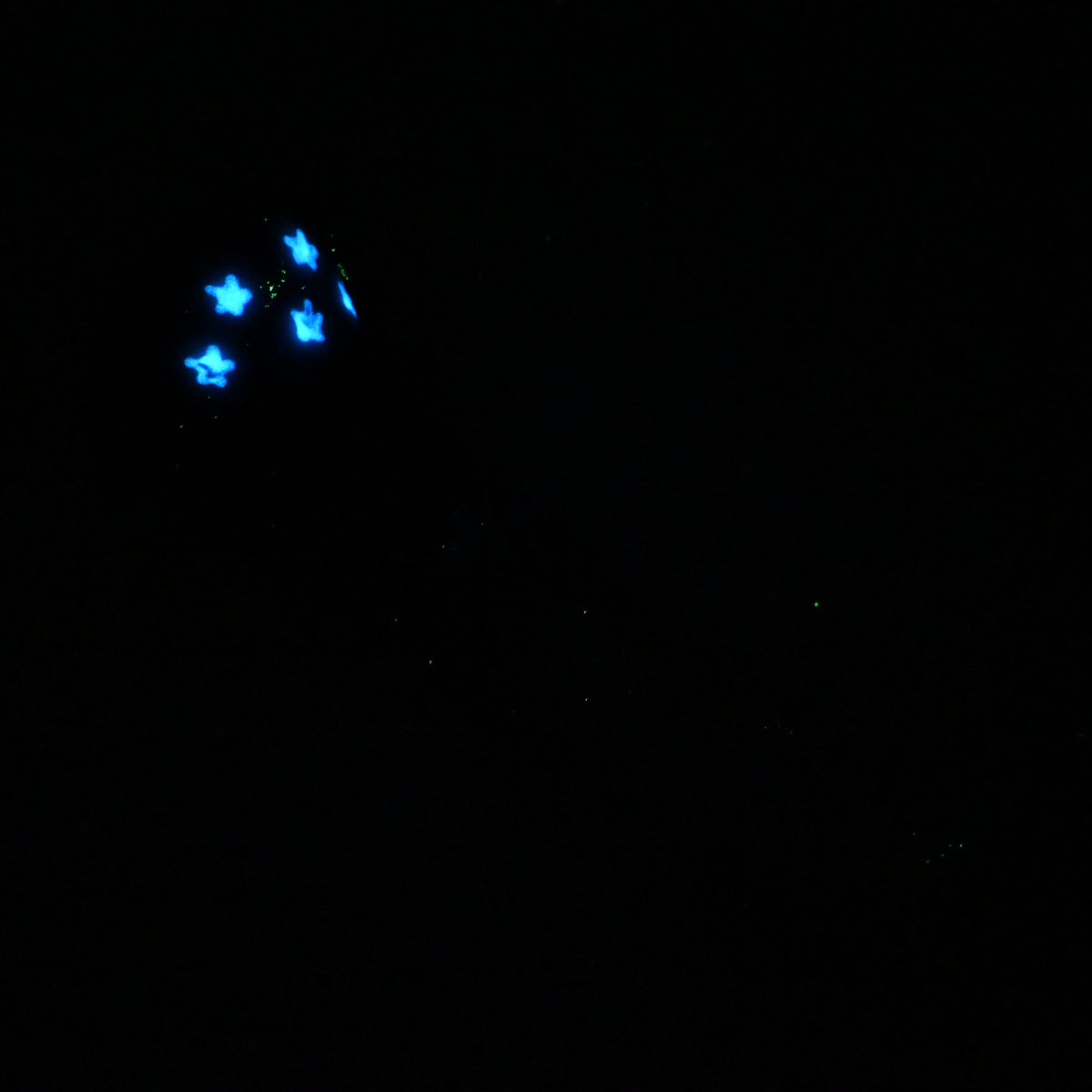 U3SKR93 Cirrus Medium 0030 UV GITD CS