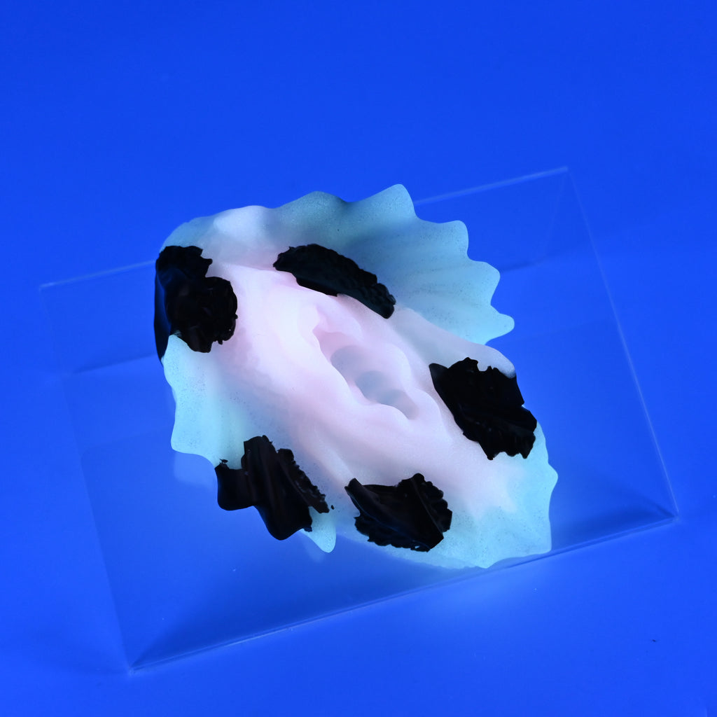 C2SJR55 Calypso Small 0030 UV GITD