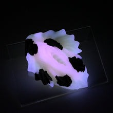 Load image into Gallery viewer, C2SJR55 Calypso Small 0030 UV GITD
