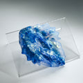 C2TJR59 Calypso Small NC 0031