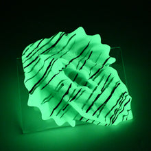 Load image into Gallery viewer, C4XJR60 Calypso Large 0020 UV GITD
