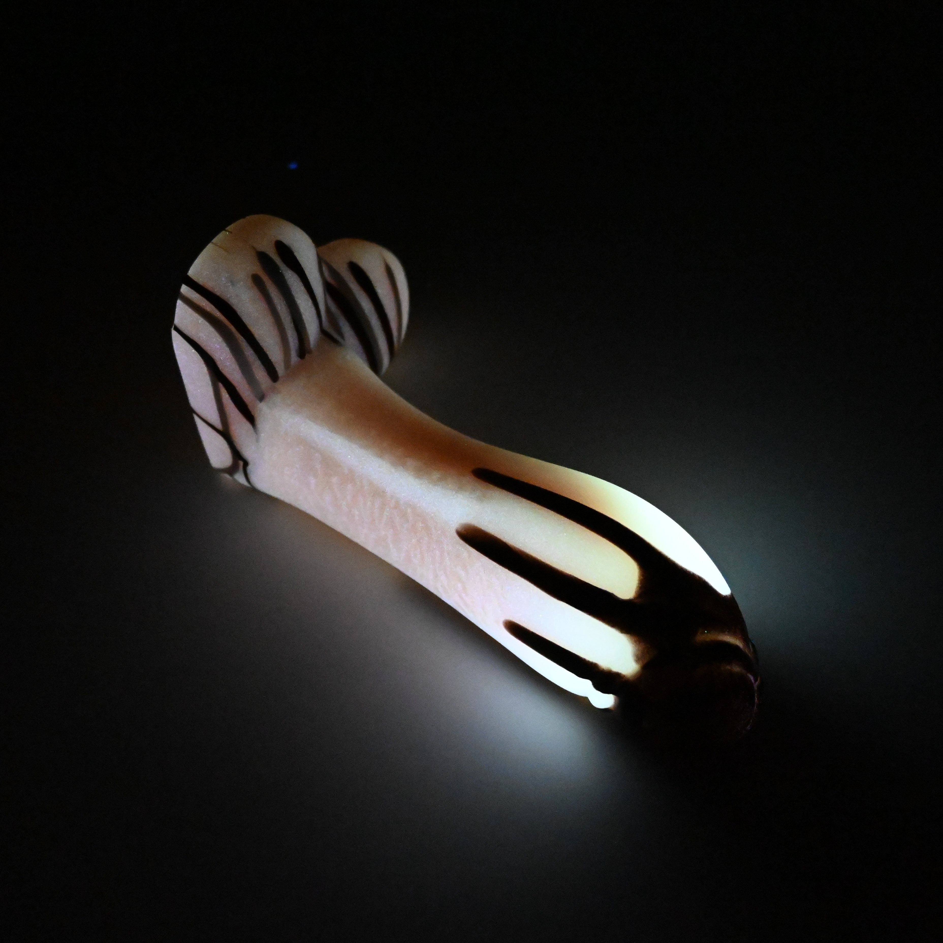 Q2SJS12 Aquus Small 0030 UV GITD