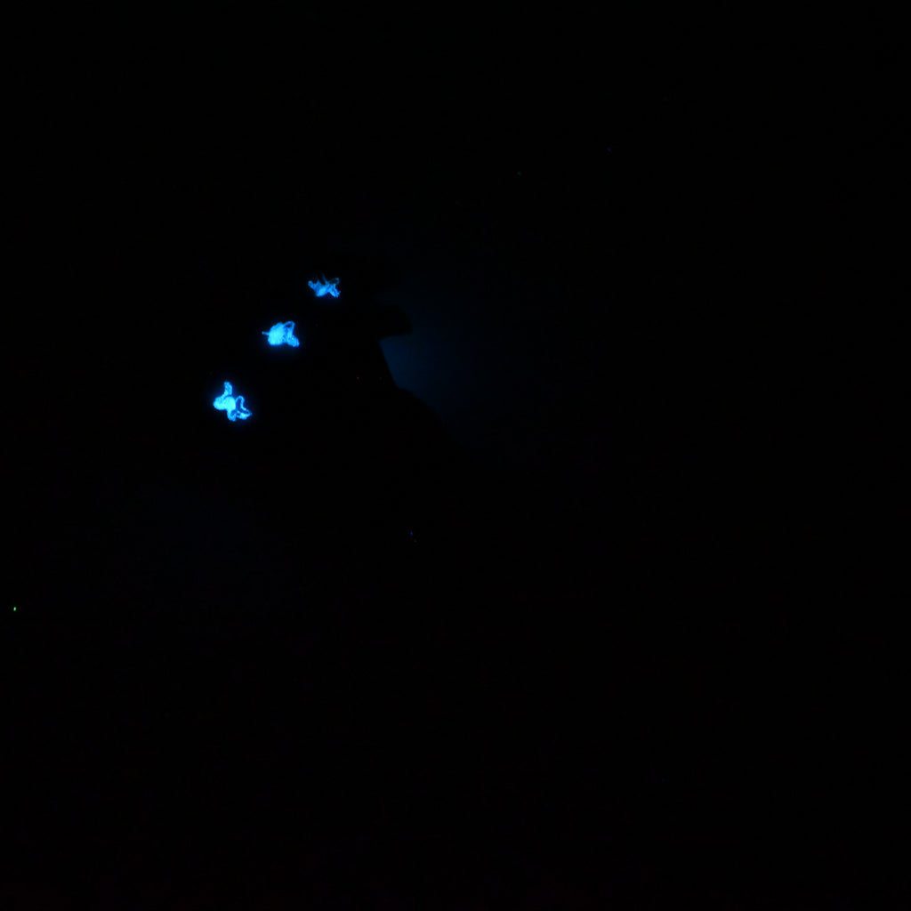 42SKQ57 Helhestr Small 0030 UV GITD CS