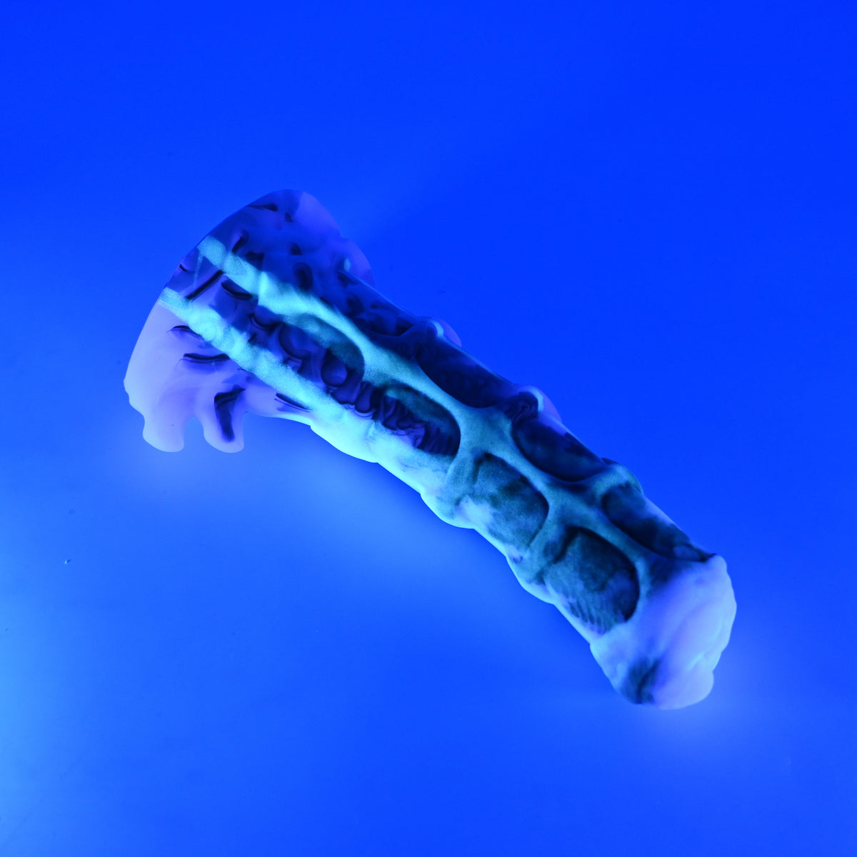 43MKQ60 Helhestr Medium 0050 UV GITD CS