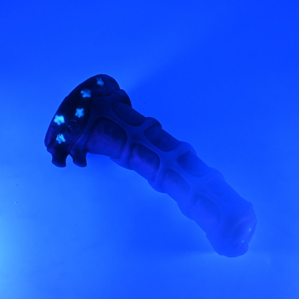 43SKQ62 Helhestr Medium 0030 UV GITD CS
