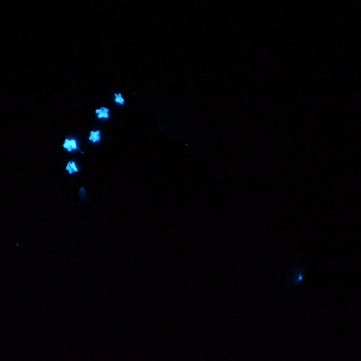 43SKQ62 Helhestr Medium 0030 UV GITD CS