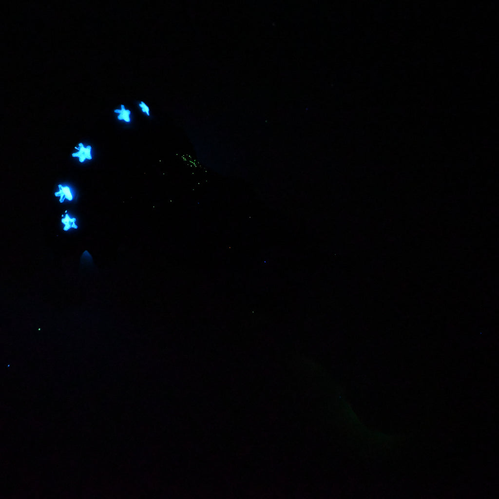 44SKQ65 Helhestr Large 0030 UV GITD CS