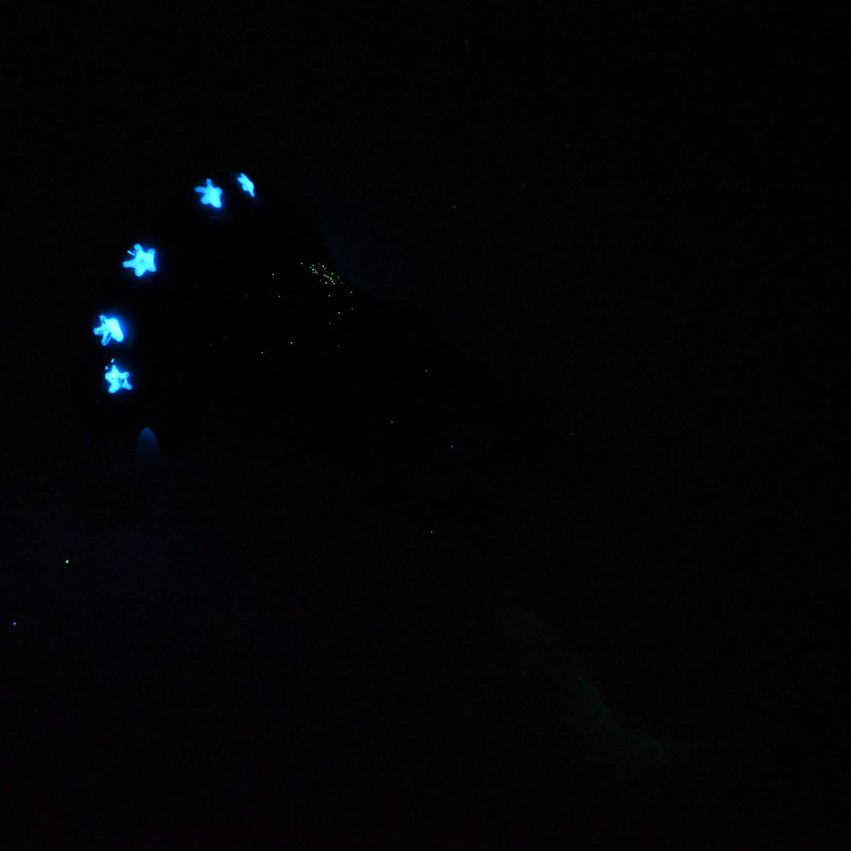 44SKQ65 Helhestr Large 0030 UV GITD CS