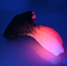 Load image into Gallery viewer, X3SEK44 Shin Medium 0030 UV GITD
