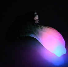 Load image into Gallery viewer, X3SEK44 Shin Medium 0030 UV GITD
