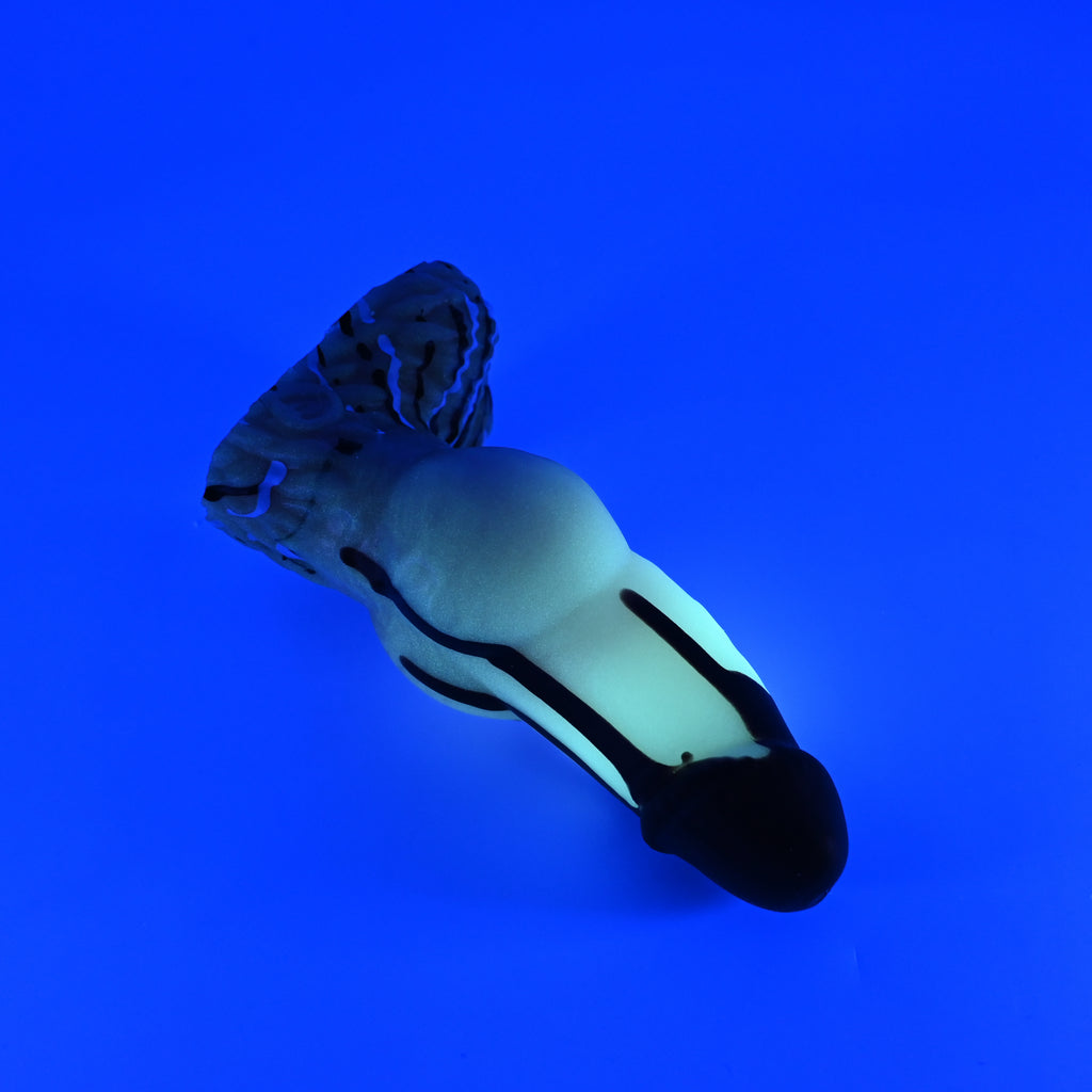 52SJR07 Jacob Small 0030 UV GITD