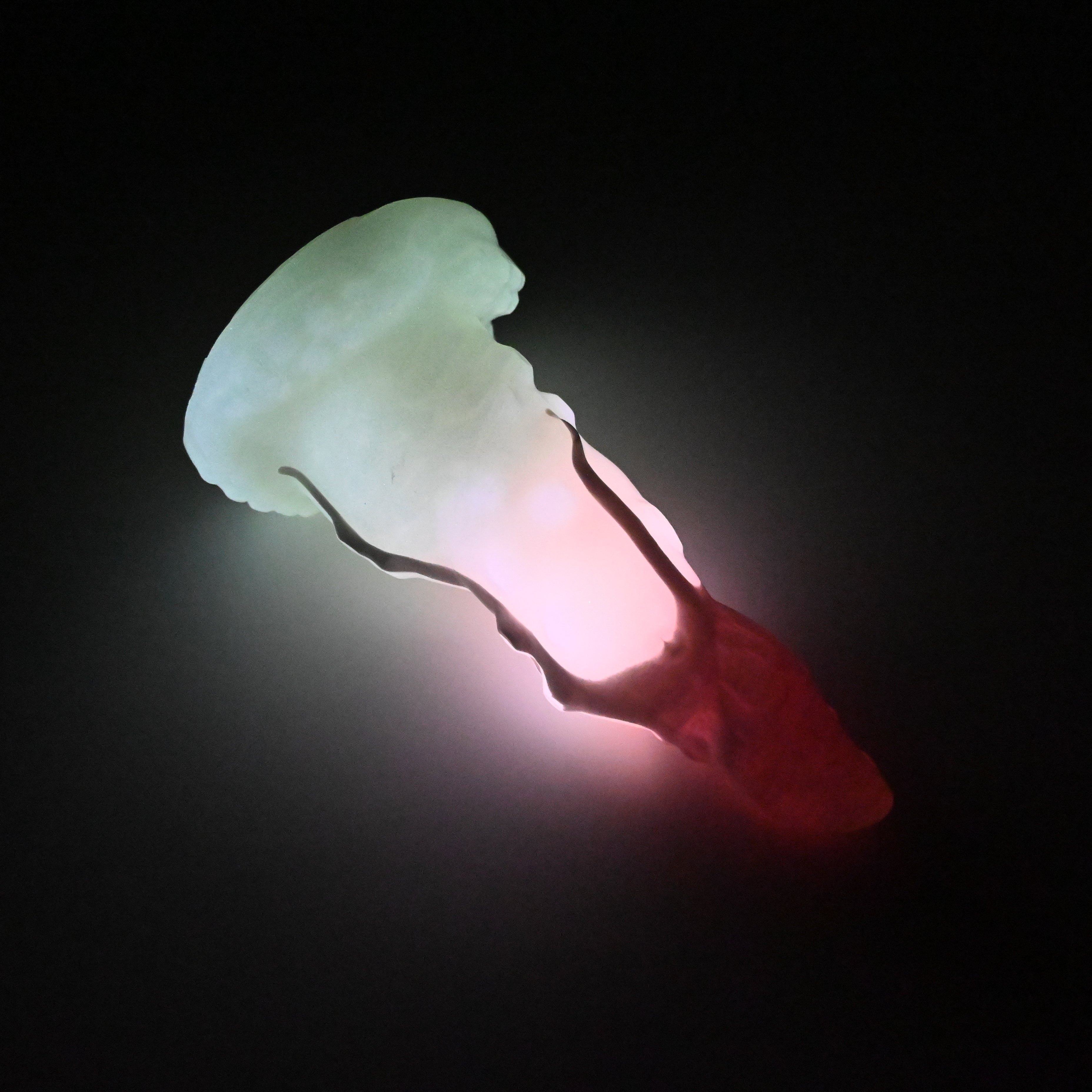 N2SJS06 Nereid Small 0030 UV GITD