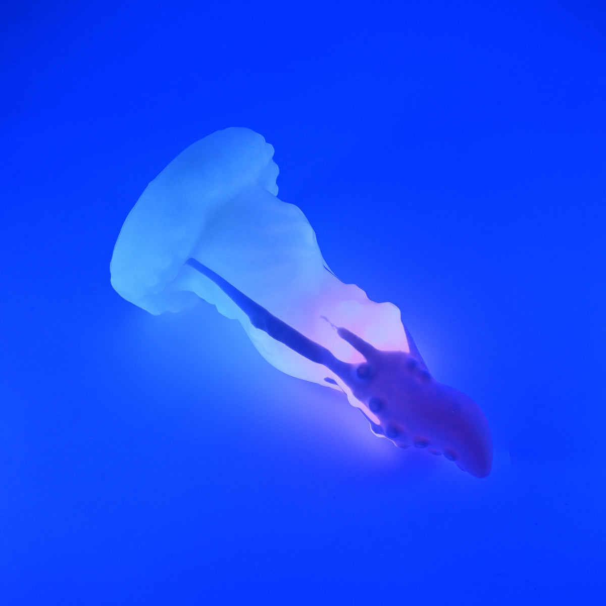 N3SJS07 Nereid Medium 0030 UV GITD GOBLIN HOLE