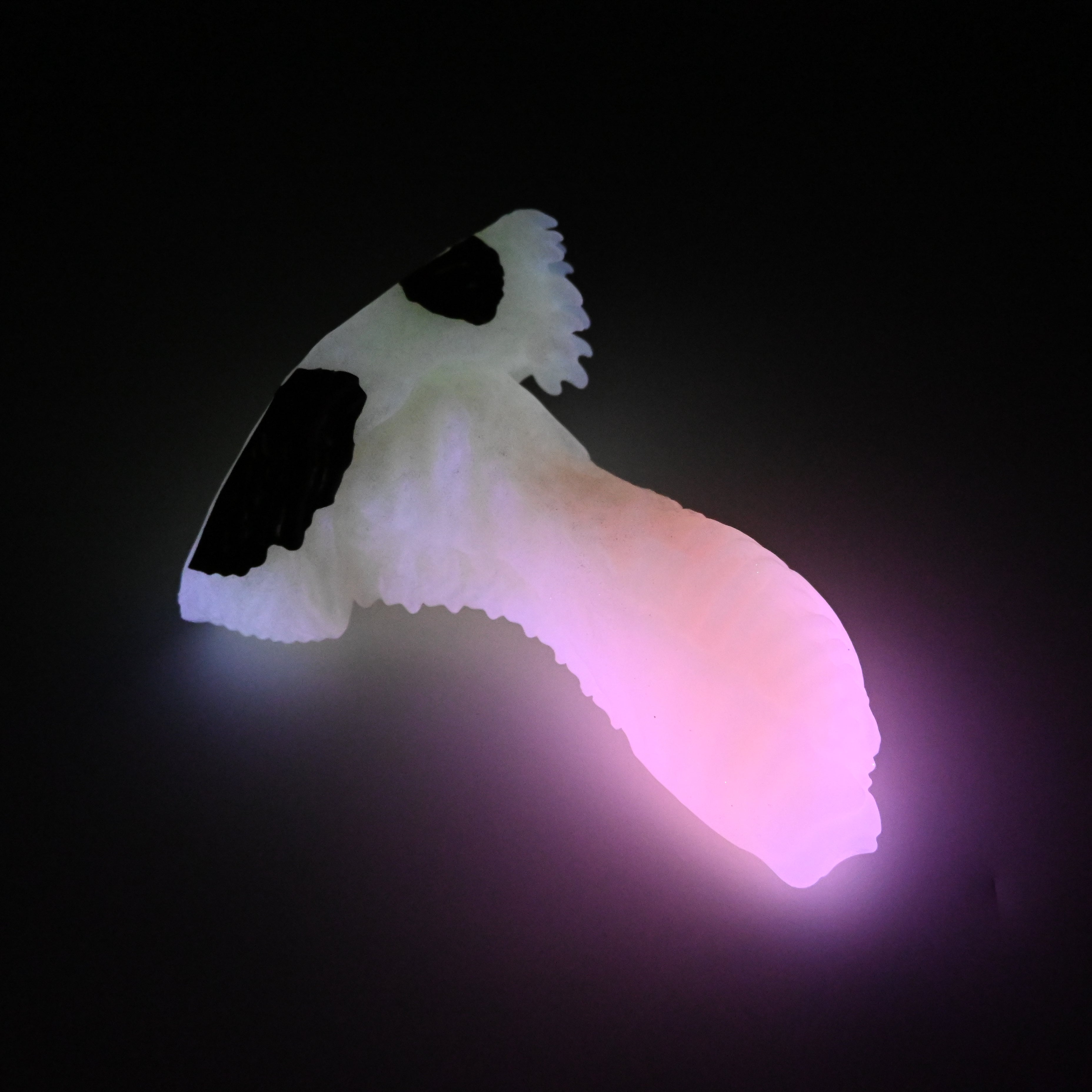 X2SJS64 Shin Small 0030 UV GITD