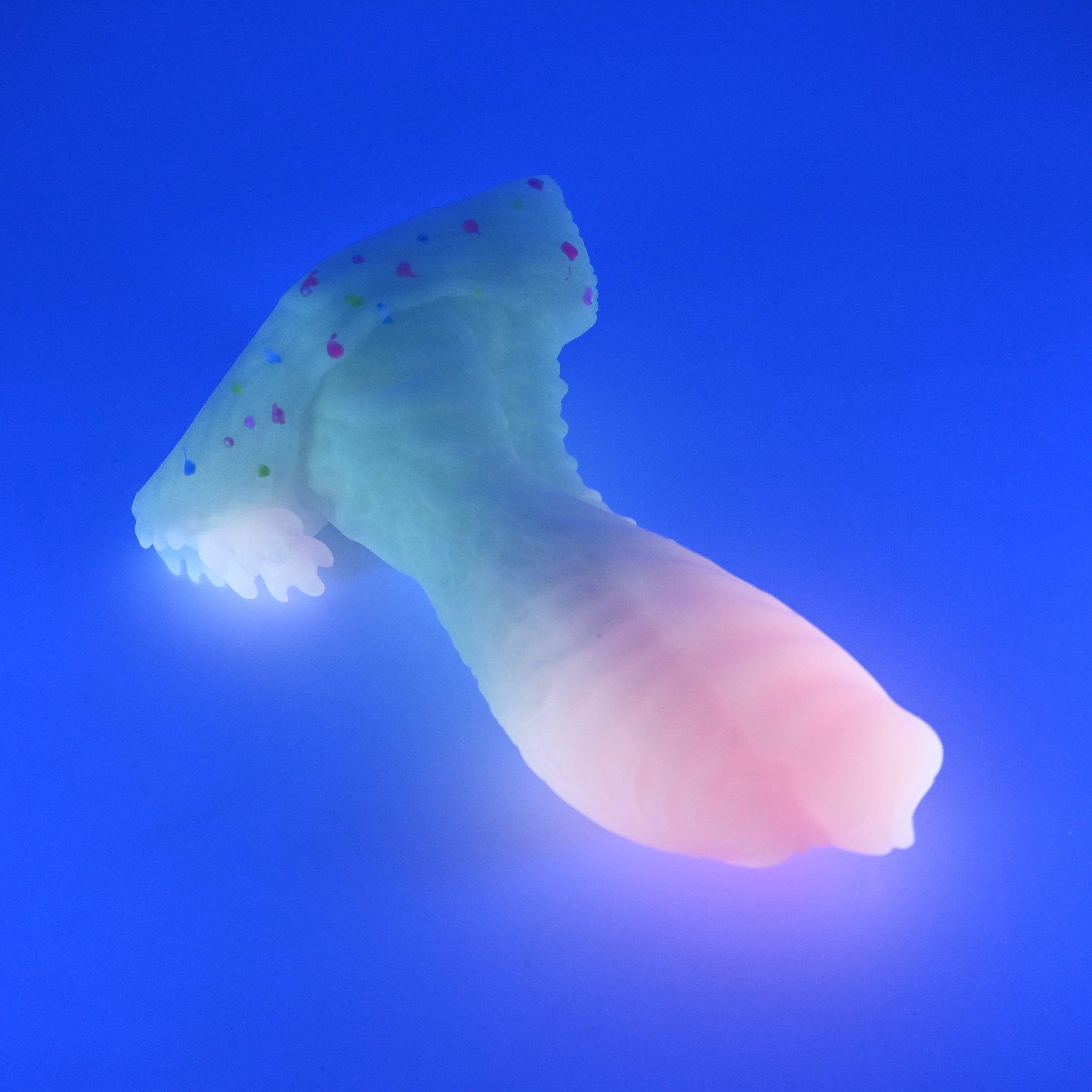 X3SJS69 Shin Medium 0030 UV GITD