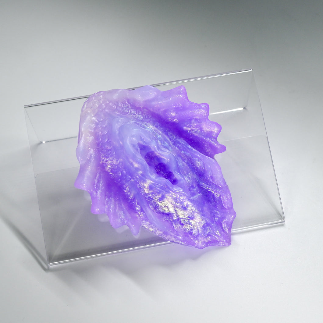 C2THQ56 Calypso Small NC 0031 UV CS