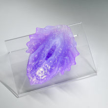 Load image into Gallery viewer, C2THQ56 Calypso Small NC 0031 UV CS
