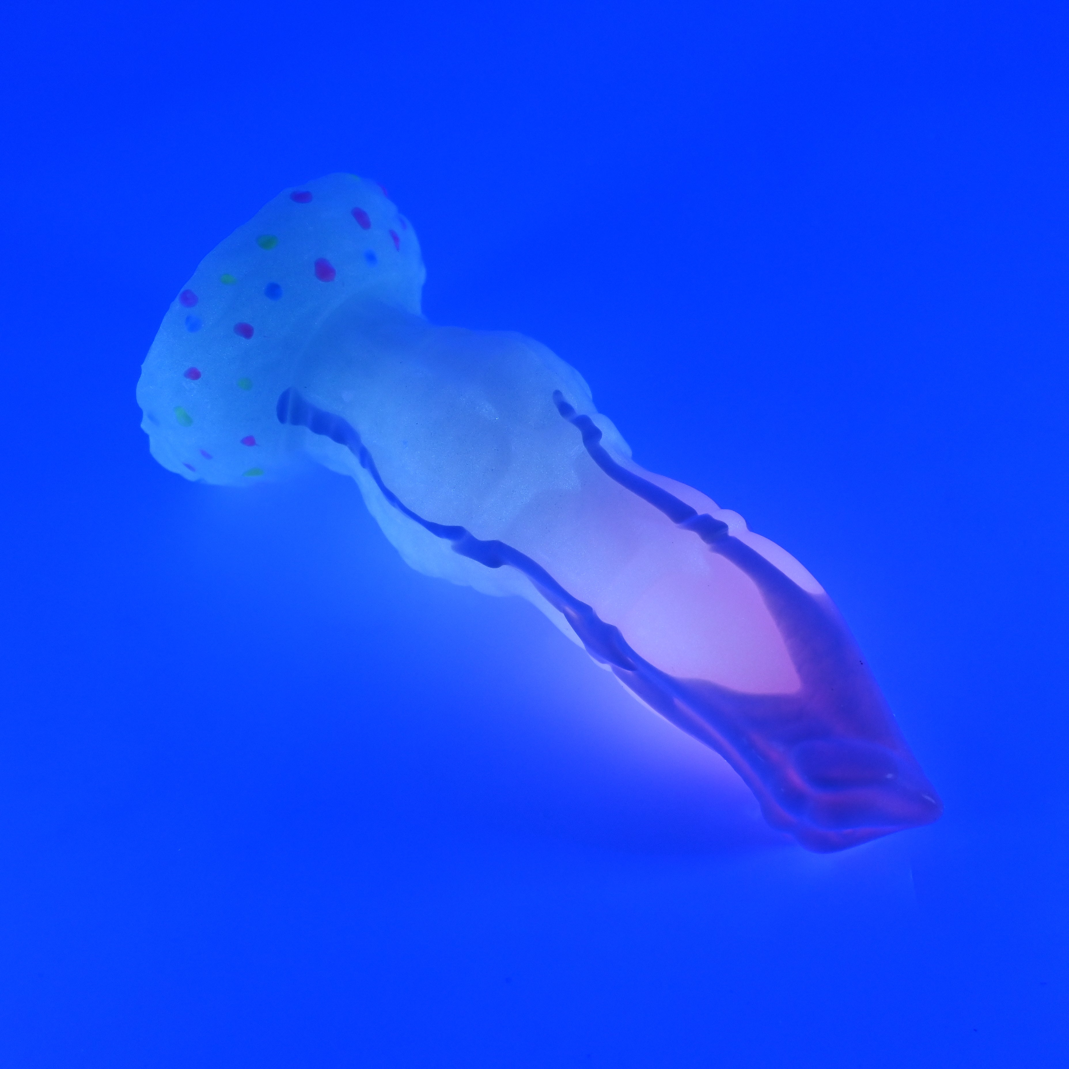 H2SJR79 Hellion Small 0030 UV GITD