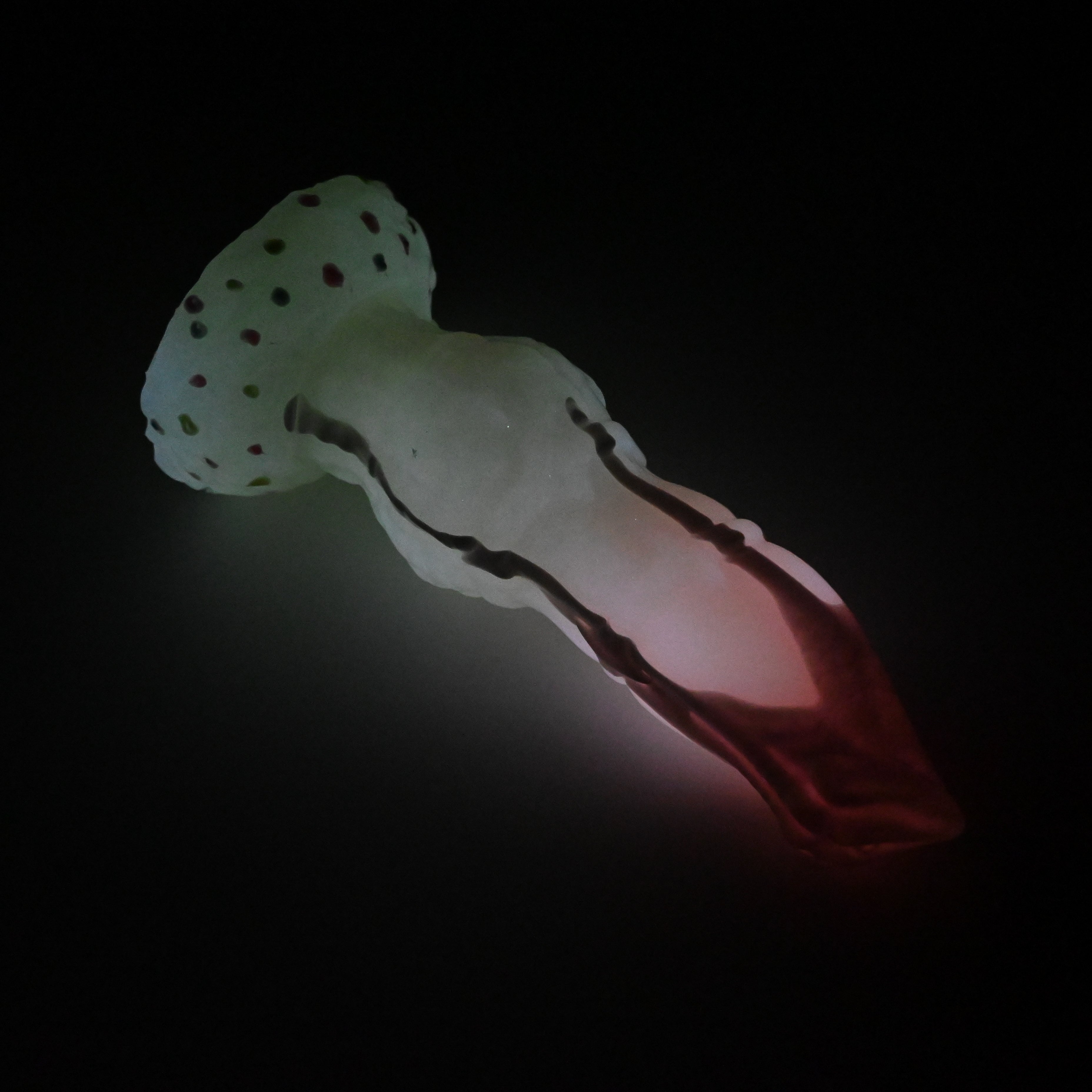 H2SJR79 Hellion Small 0030 UV GITD