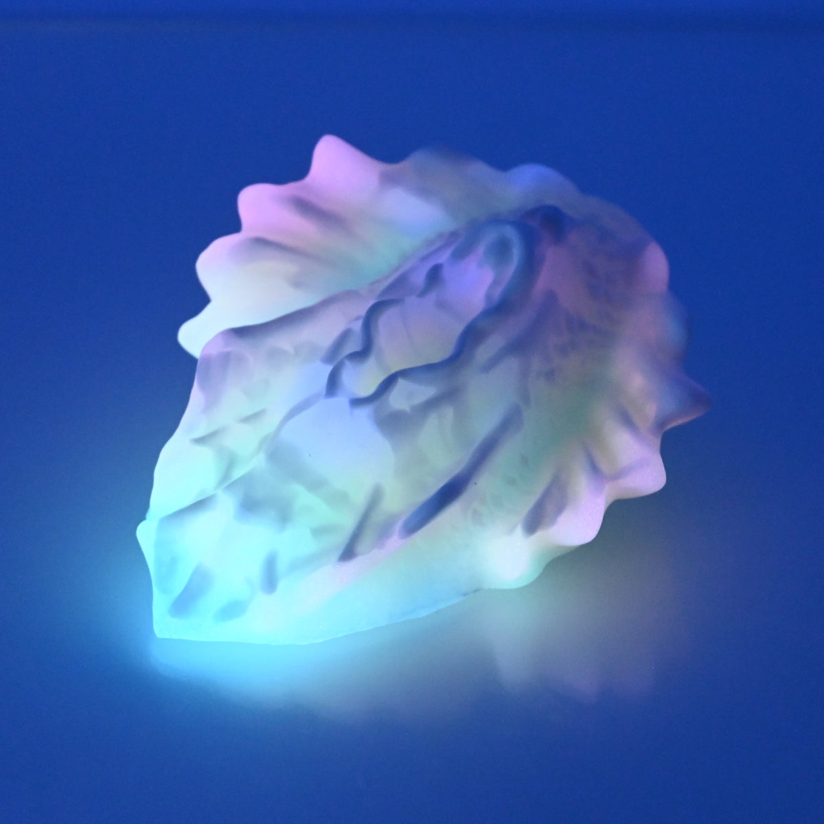 C2SDM25 Calypso Small 0030 UV GITD *SBF*
