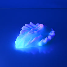 Load image into Gallery viewer, C2SCS27 Calypso Small 0030 UV
