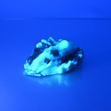 Load image into Gallery viewer, C2MCS26 Calypso Small 0050 UV GITD
