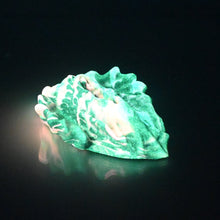 Load image into Gallery viewer, C2SCS42 Calypso Small 0030 UV GITD
