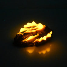 Load image into Gallery viewer, C2MCS35 Calypso Small 0050 UV GITD
