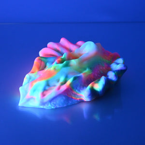C4SCS33 Calypso Large 0030 UV GITD
