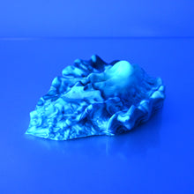 Load image into Gallery viewer, C4MCS29 Calypso Large 0050 UV GITD
