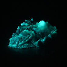 Load image into Gallery viewer, C4MCS29 Calypso Large 0050 UV GITD
