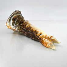 Load image into Gallery viewer, V2MCT27 Snark&#39;s Maw Small 0050
