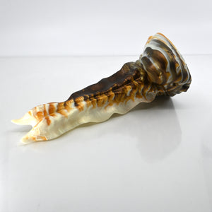 V2MCT27 Snark's Maw Small 0050