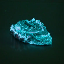 Load image into Gallery viewer, C2MCT54 Calypso Small 0050 UV GITD
