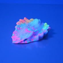 Load image into Gallery viewer, C2SCT51 Calypso Small 0030 UV GITD
