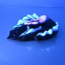 Load image into Gallery viewer, C4WCT57 Calypso Large 0030/0020 UV GITD
