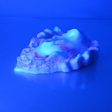 Load image into Gallery viewer, C4MCT61 Calypso Large 0050 UV
