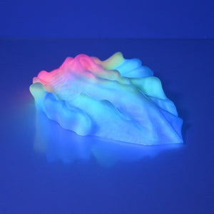 C4SCT58 Calypso Large 0030 UV GITD
