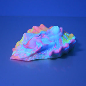C4SCT59 Calypso Large 0030 UV GITD