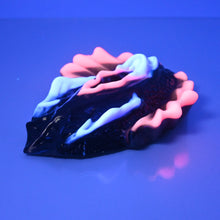 Load image into Gallery viewer, C4WCU79 Calypso Large 0030/0020 UV GITD
