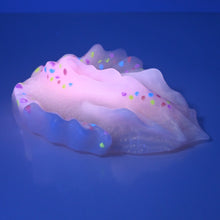 Load image into Gallery viewer, C4SCU78 Calypso Large 0030 UV GITD
