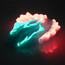 Load image into Gallery viewer, C4WCU77 Calypso Large 0030/0020 UV GITD
