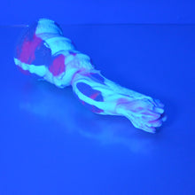 Load image into Gallery viewer, H2SCV08 Hydrae Small 0030 UV GITD
