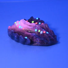 Load image into Gallery viewer, C2SCV95 Calypso Small 0030 UV GITD
