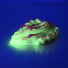 Load image into Gallery viewer, C2MCV91 Calypso Small 0050 UV GITD
